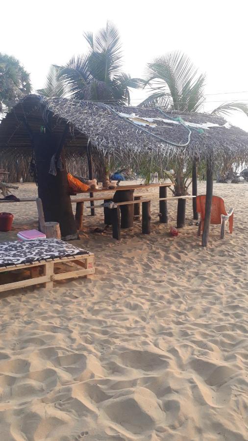 Hotel Dolphinchilling Alankuda Exterior foto